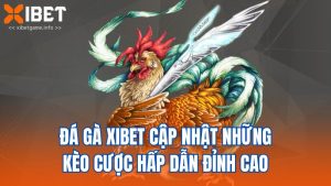 Đá Gà Xibet Cập Nhật Những Kèo Cược Hấp Dẫn Đỉnh Cao