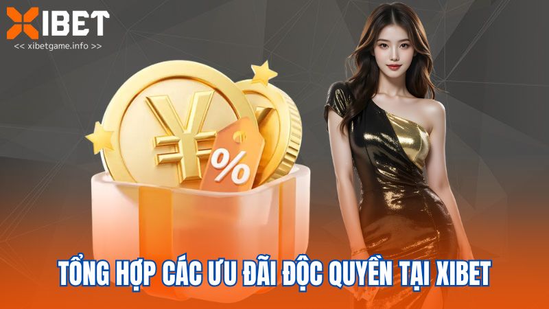 Tổng hợp các ưu đãi độc quyền tại XIBET